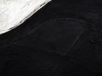 Traumautos - Black Car